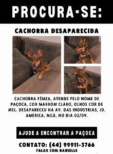 Imagem do anuncio Procura-se minha cachorrinha