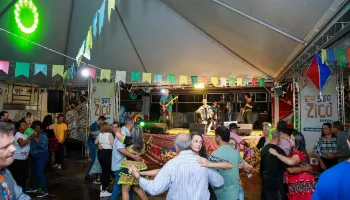 Arraiá do Sêo Zico Borghi 2026