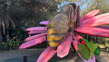 Natureza Gigante