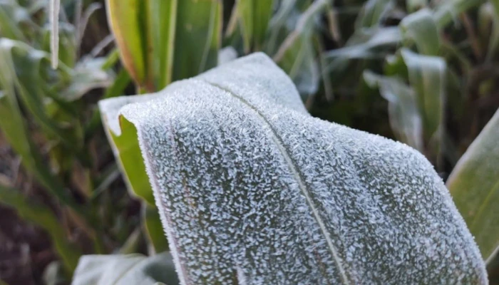 Massa de ar polar no Paraná faz com que 20 municípios registrem as mínimas mais baixas do ano