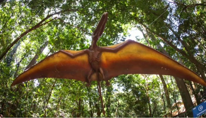 Exposição ‘Jurássico Condor’, no Parque do Ingá, é prorrogada