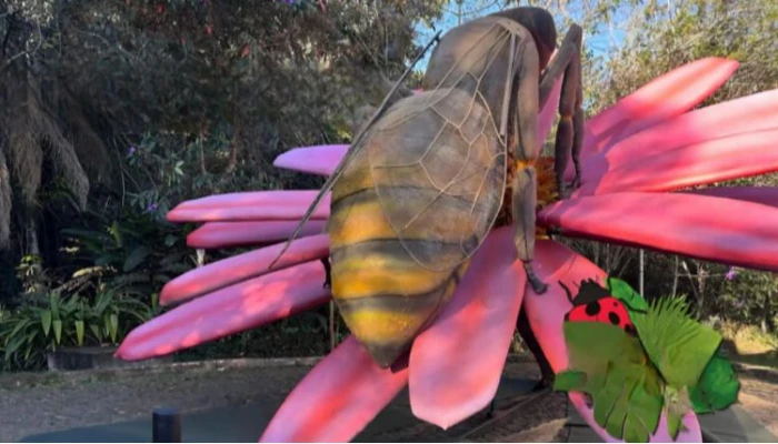 Exposição de insetos gigantes no Parque do Ingá tem data de abetura anunciada; confira