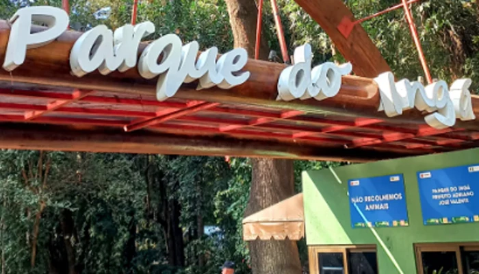 GALERIA DE FOTOS GALERIA DE FOTOS