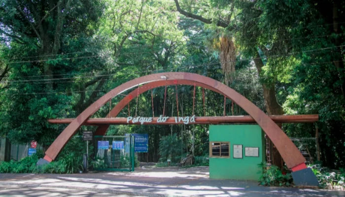 Parque do Ingá promove ‘Noite das Mariposas’ neste sábado (25); saiba como se inscrever