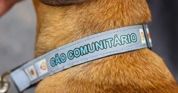 BEM-ESTAR ANIMAL