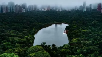 MEIO AMBIENTE