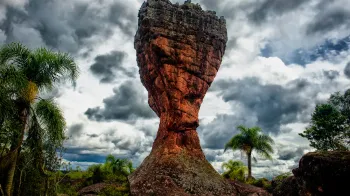 NATUREZA